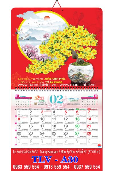 Lịch treo tường 13 tờ Mai Ngày Tết